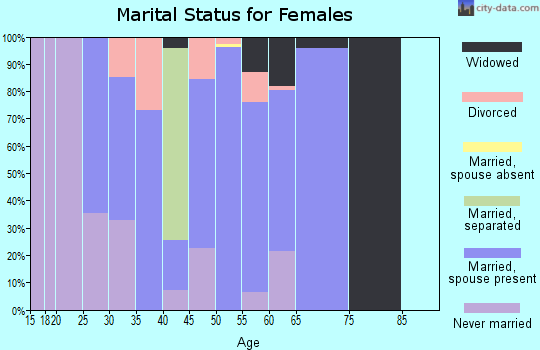 Zip code 29726 marital status for females