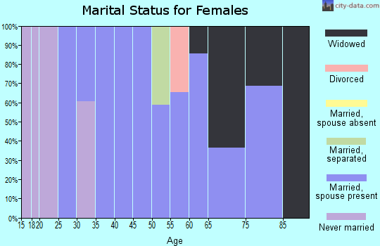 Zip code 29743 marital status for females