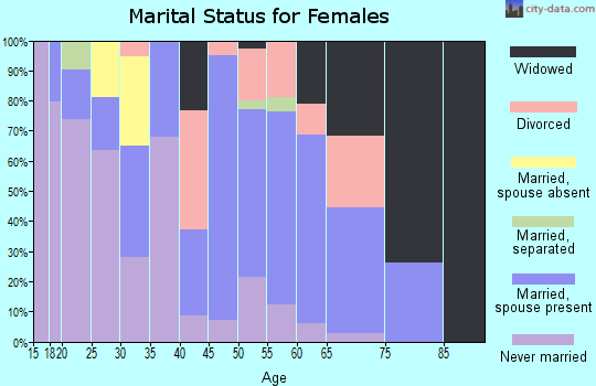 Zip code 29847 marital status for females