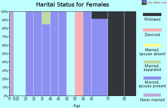 Zip code 29849 marital status for females