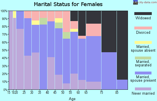 Zip code 29853 marital status for females
