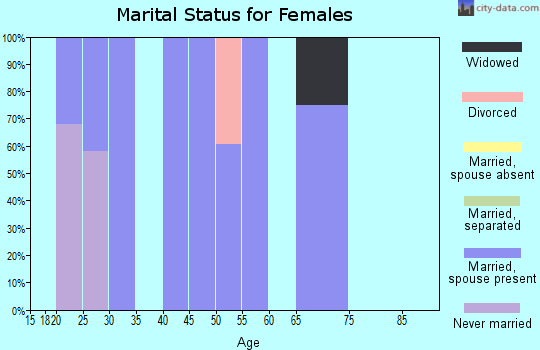 Zip code 30285 marital status for females