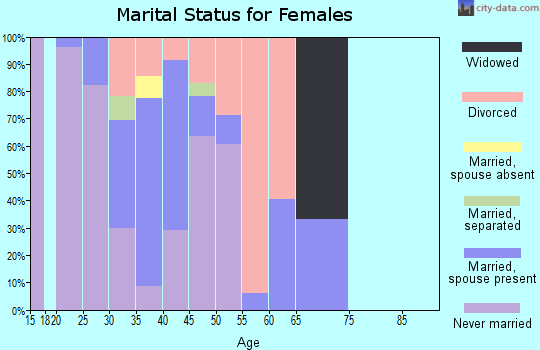Zip code 30346 marital status for females