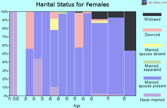 Zip code 30537 marital status for females