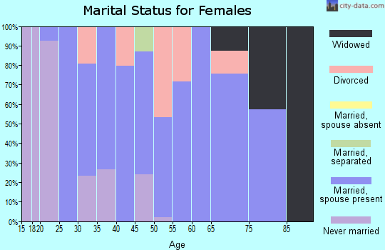Zip code 30538 marital status for females