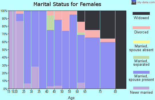 Zip code 30738 marital status for females