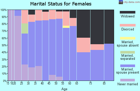 Zip code 30740 marital status for females