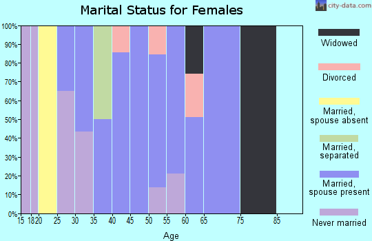 Zip code 31025 marital status for females