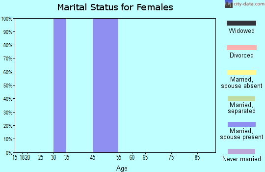 Zip code 31039 marital status for females