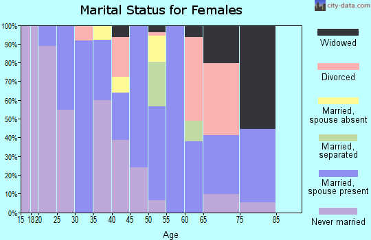Zip code 31042 marital status for females