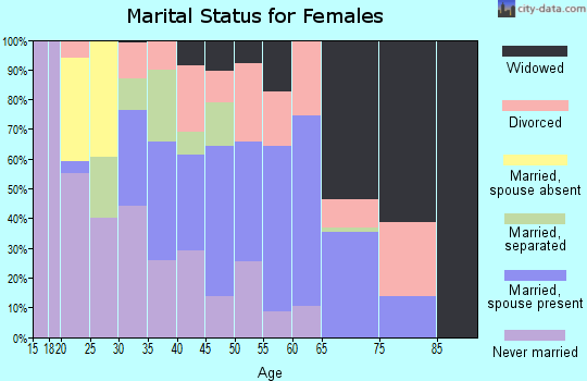 Zip code 31305 marital status for females