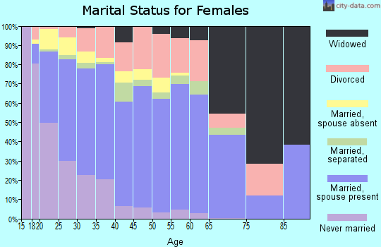 Zip code 31313 marital status for females