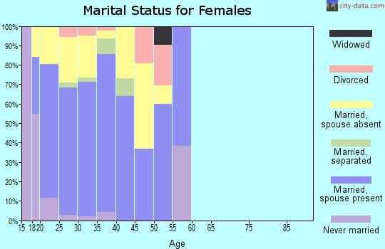 Zip code 31315 marital status for females