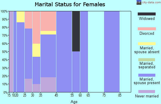 Zip code 31333 marital status for females