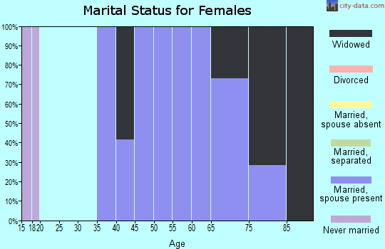 Zip code 31518 marital status for females
