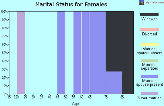 Zip code 31527 marital status for females