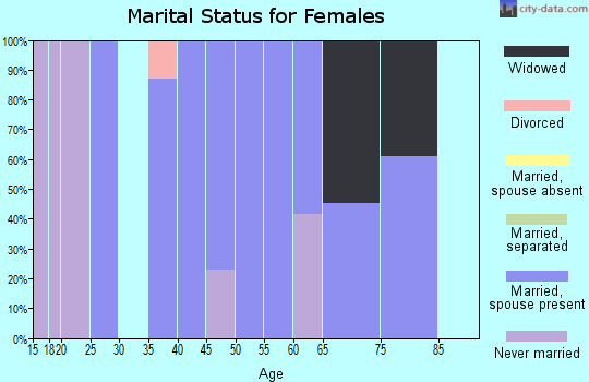 Zip code 31567 marital status for females