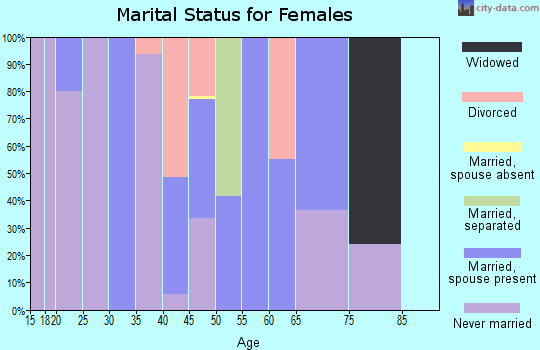 Zip code 31625 marital status for females