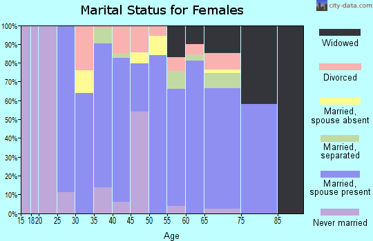 Zip code 31637 marital status for females