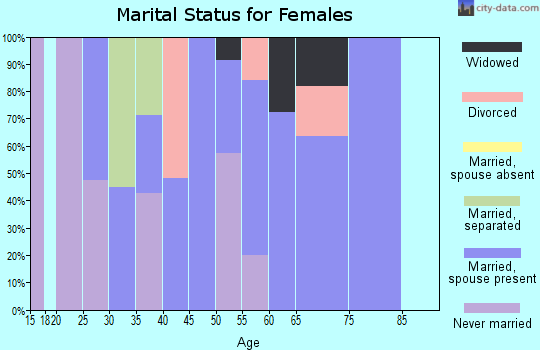Zip code 31641 marital status for females