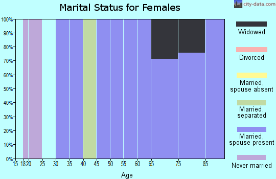 Zip code 31735 marital status for females