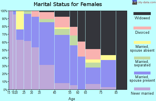 Zip code 31740 marital status for females