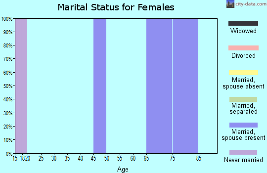 Zip code 32061 marital status for females