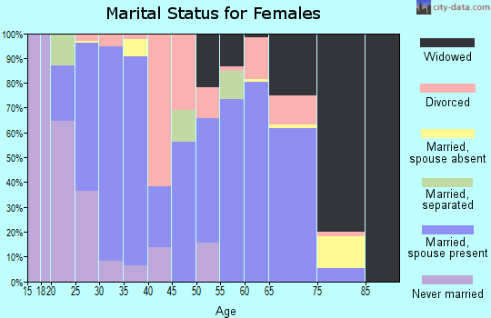Zip code 32066 marital status for females