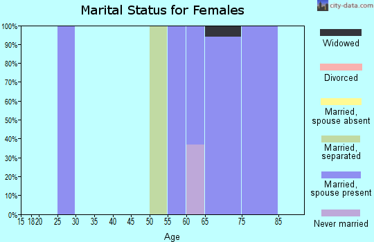 Zip code 33001 marital status for females