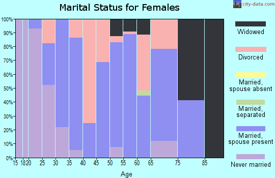 Zip code 33043 marital status for females