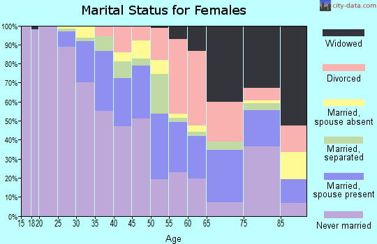 Zip code 33054 marital status for females