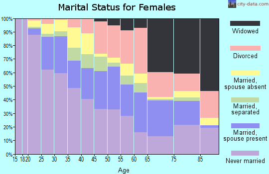 Zip code 33127 marital status for females