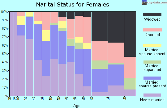 Zip code 33130 marital status for females