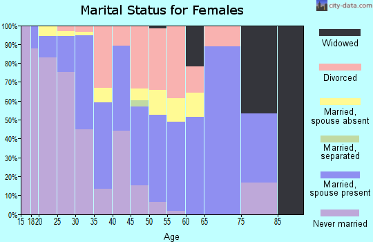 Zip code 33131 marital status for females