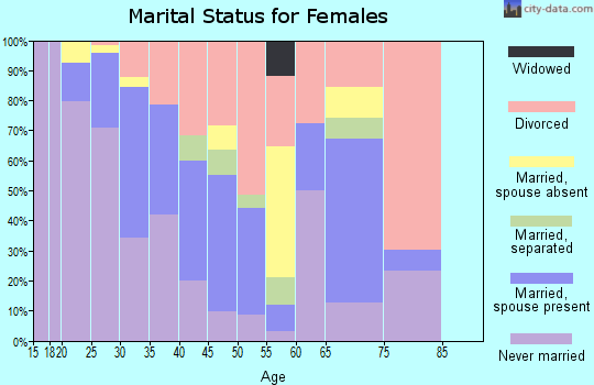Zip code 33132 marital status for females