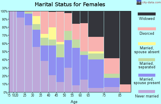 Zip code 33167 marital status for females