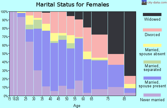 Zip code 33173 marital status for females