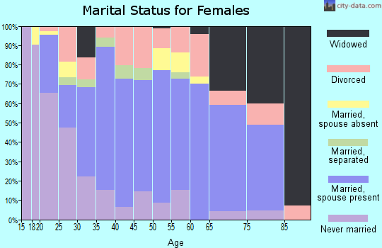 Zip code 33567 marital status for females