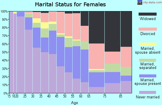 Zip code 33605 marital status for females