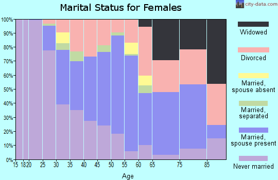 Zip code 33606 marital status for females