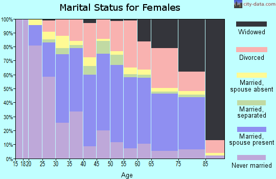 Zip code 33615 marital status for females