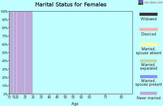 Zip code 33620 marital status for females