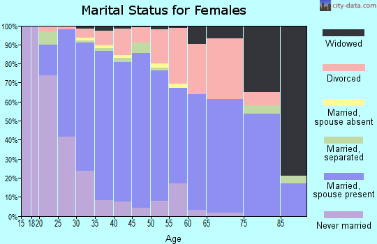 Zip code 33626 marital status for females