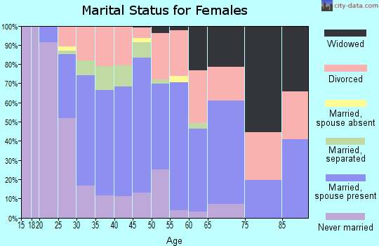 Zip code 33635 marital status for females