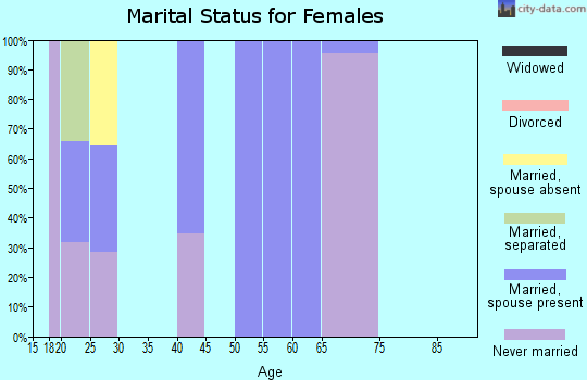 Zip code 33849 marital status for females