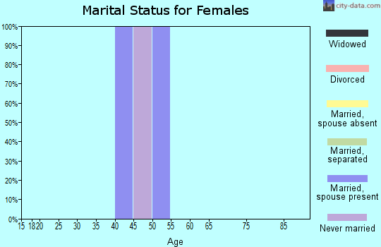 Zip code 33944 marital status for females