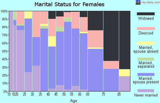 Zip code 37380 marital status for females