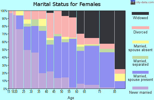 Zip code 38063 marital status for females