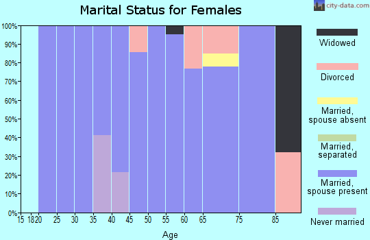 Zip code 38241 marital status for females