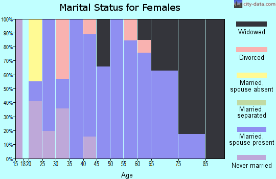 Zip code 38313 marital status for females